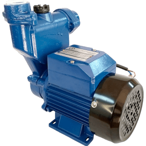 056 Bomba De Agua Autocebante 1 Hp - 60 L/M - 110 V 1zdb65x