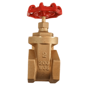 6205 VALVULA DE COMPUERTA 2"