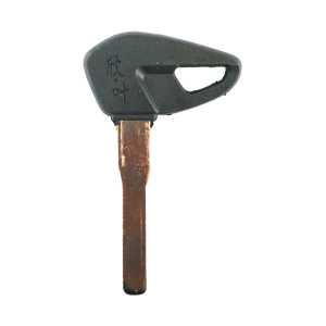1838 LLAVE MOLDE XINYE